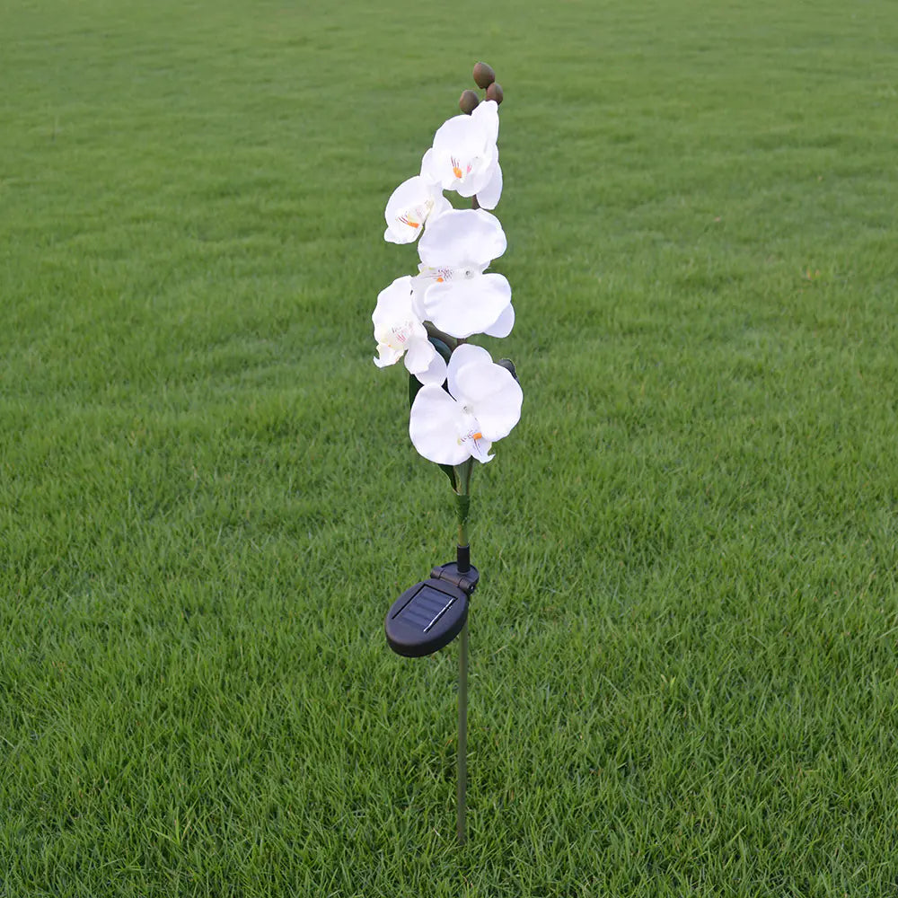 Waterproof Solar Flower Garden Lights for Outdoor Decor